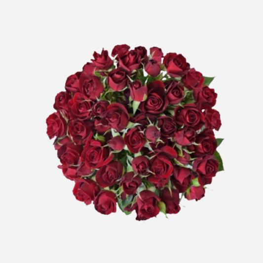 spray rose mirable red-10 stems