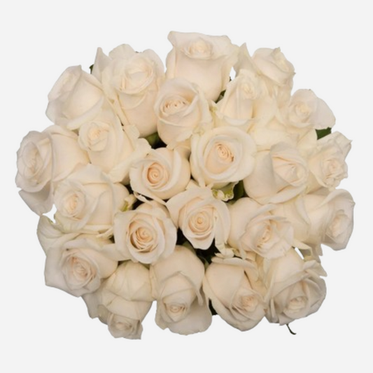 roses vendella off-white-25 stems