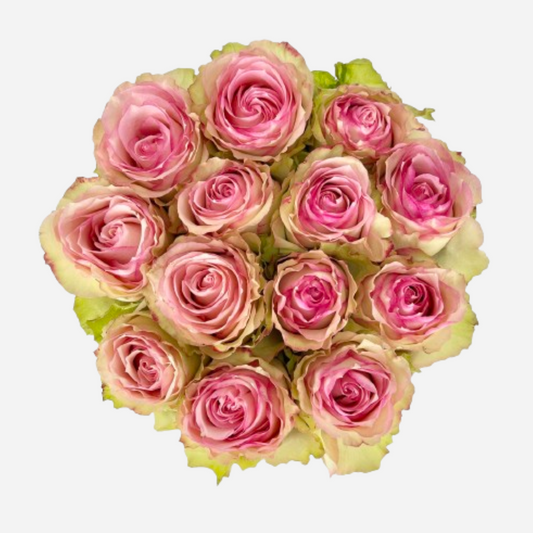 roses esperance pink-25 stems