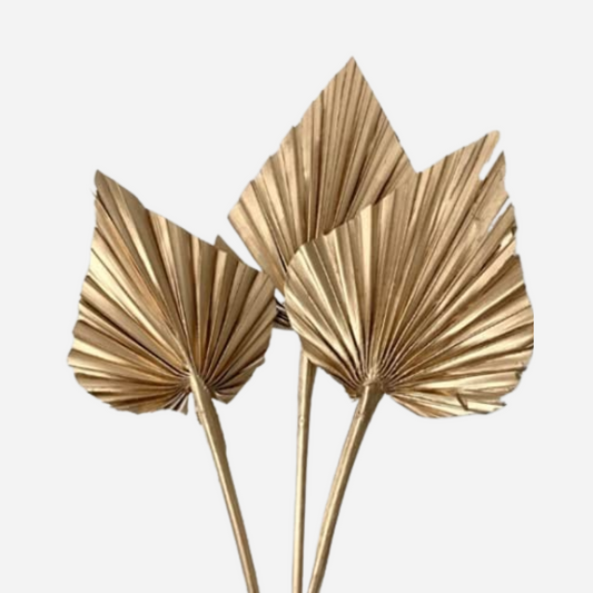 palm spear gold-5 stems