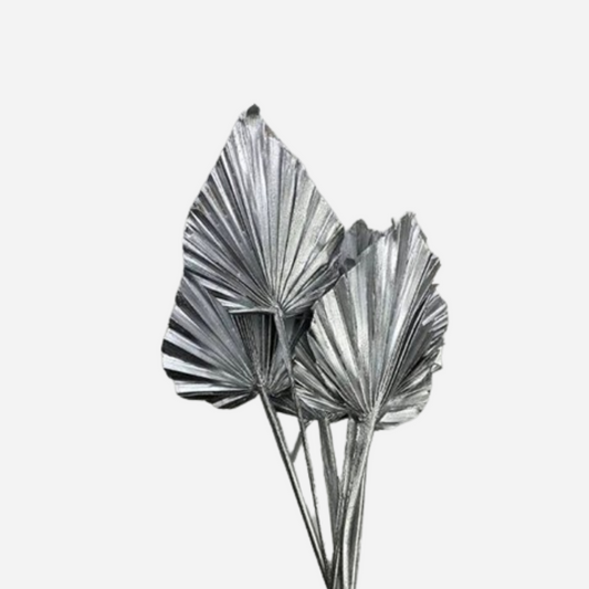 palm spear silver-5 stems