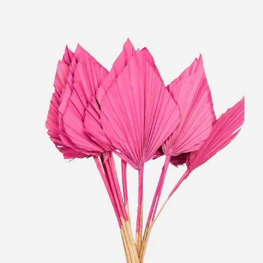 palm spear dark pink-5 stems
